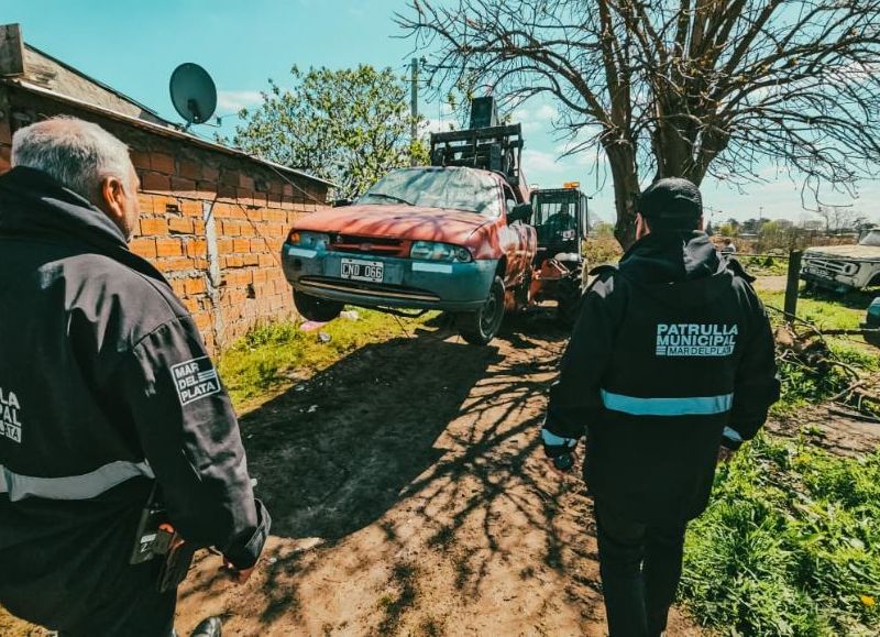 VIDEO | El Municipio colaboró en un operativo que recuperó vehículos y autopartes con pedido de secuestro activo