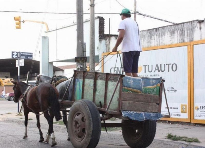 Buscan actualizar normativa sobre tracción a sangre con una jornada de debate en el HCD