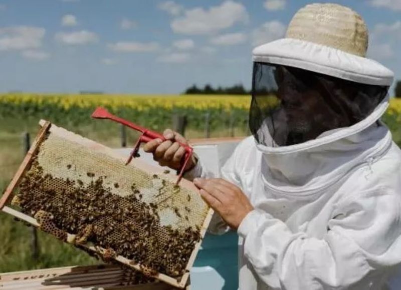 Se realiza el tercer encuentro del Ciclo Apícola “Abejas, Polinización y Kiwi”