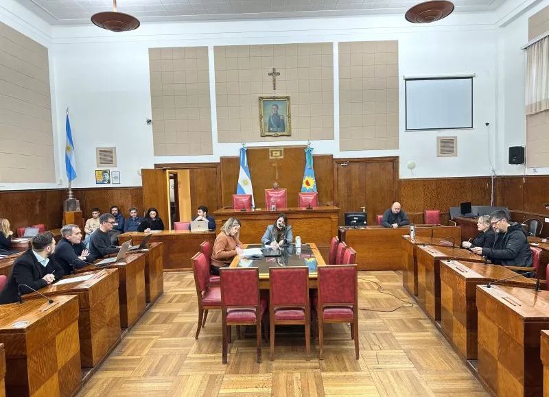 VIDEO |  Concejo de General Pueyrredon activa agenda ambiental, pero faltan acciones concretas