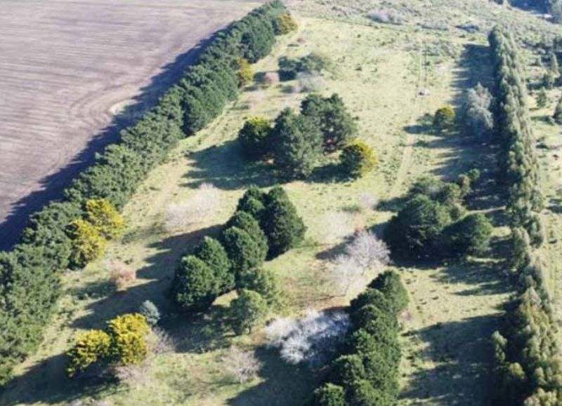 Vecinos denuncian el avance de un barrio privado en la zona serrana y apuntan al impacto ecológico