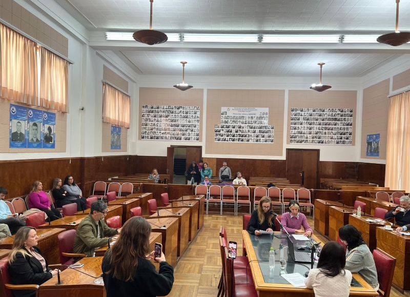 VIDEO | Seguridad: pedidos de información sobre algunas intervenciones en los barrios