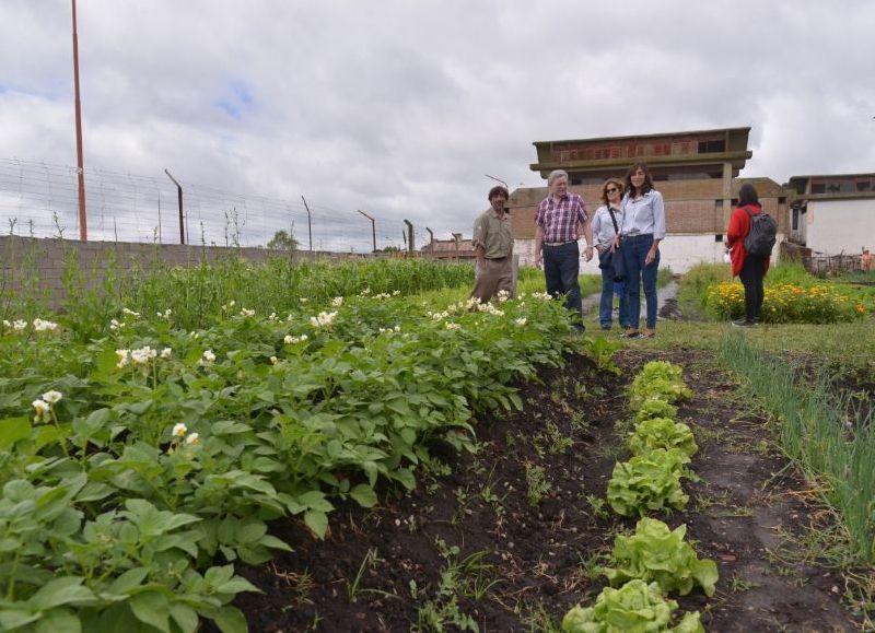 Internos de la Unidad 15 de Batán recibieron certificados del INTA