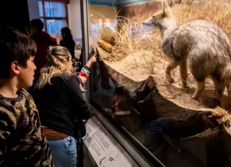 El Museo Scaglia presenta sus actividades de julio