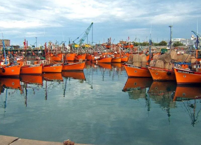 VIDEO | Contaminación en el Puerto, una causa de más de 20 años sigue abierta y vuelve a poner en foco a las harineras