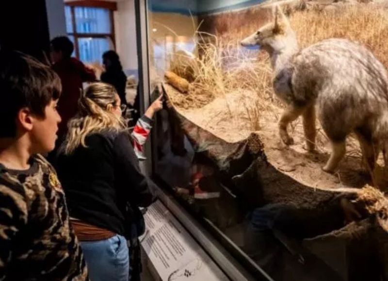 Los museos municipales tendrán entrada gratuita este fin de semana largo