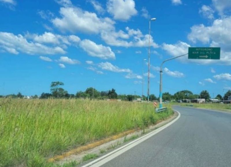 VIDEO | Piden al Municipio intervenir por el estado de abandono en la Ruta 226