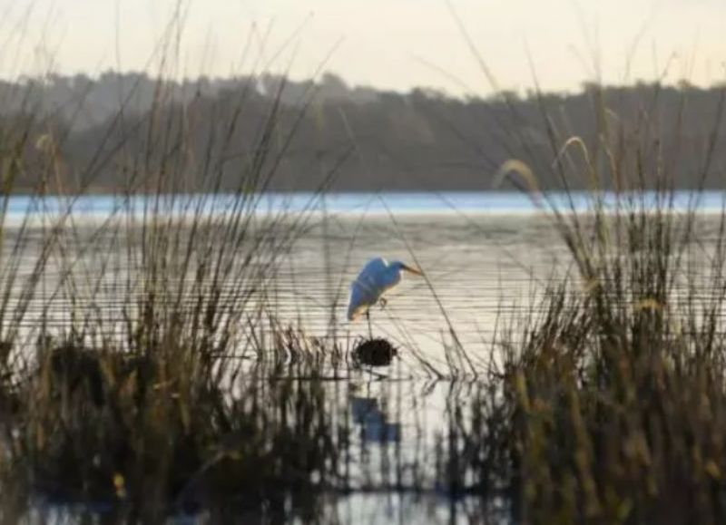 El programa PREVENIR llegará este viernes a la Escuela Agraria de Laguna de los Padres