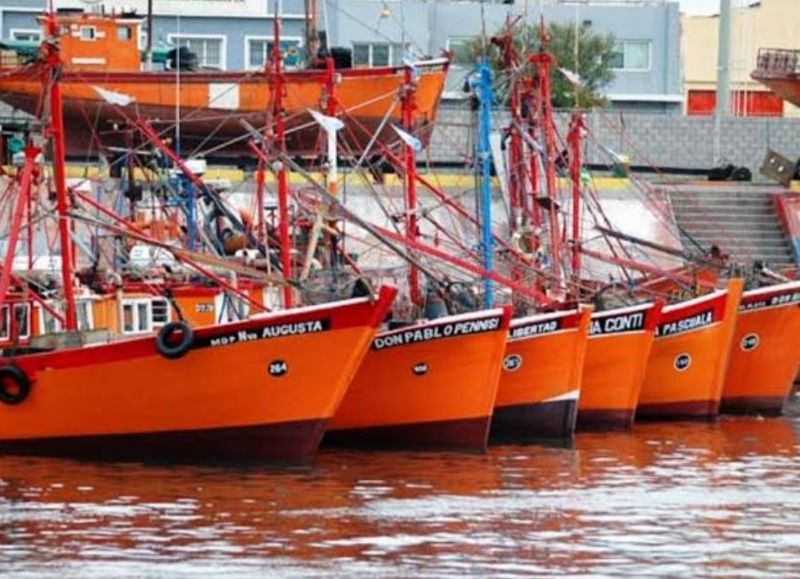 Vilma Baragiola pidió eliminar las retenciones a la pesca y reclamó que el sector sea incluido en el Decreto 566/2026