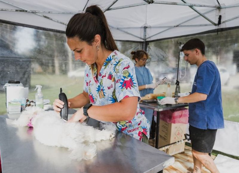 Nuevas ubicaciones de los quirófanos móviles para animales