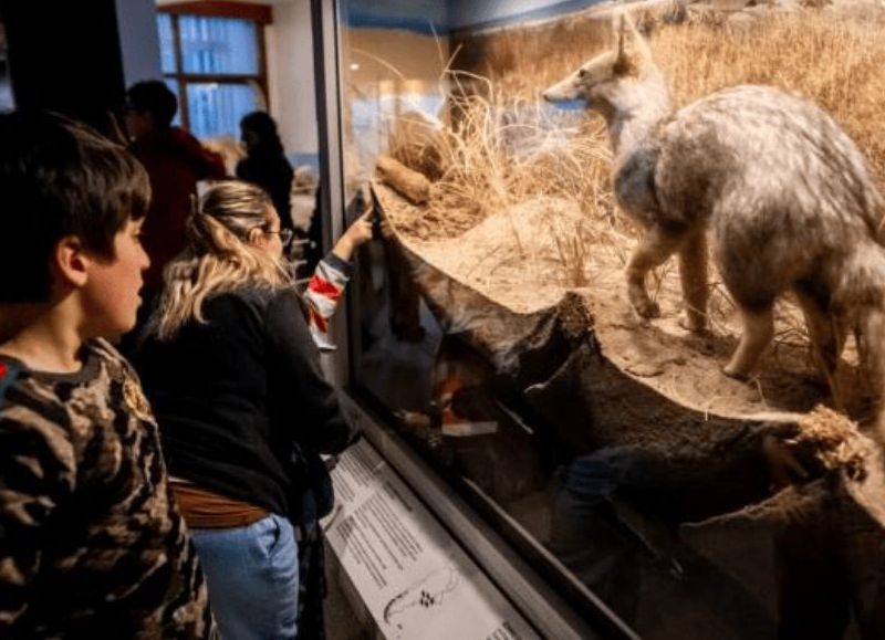 El mes de mayo en el Museo Scaglia presentará muestras y actividades especiales