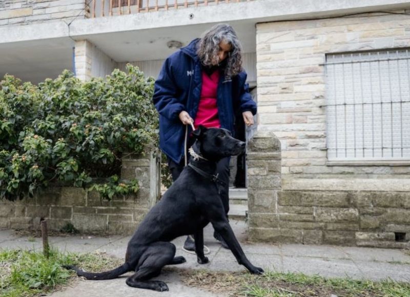 VIDEO | Rescataron a un perro que sufría maltrato y abandono en una vivienda