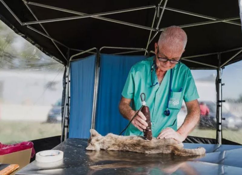 Nuevas ubicaciones de los quirófanos móviles para animales