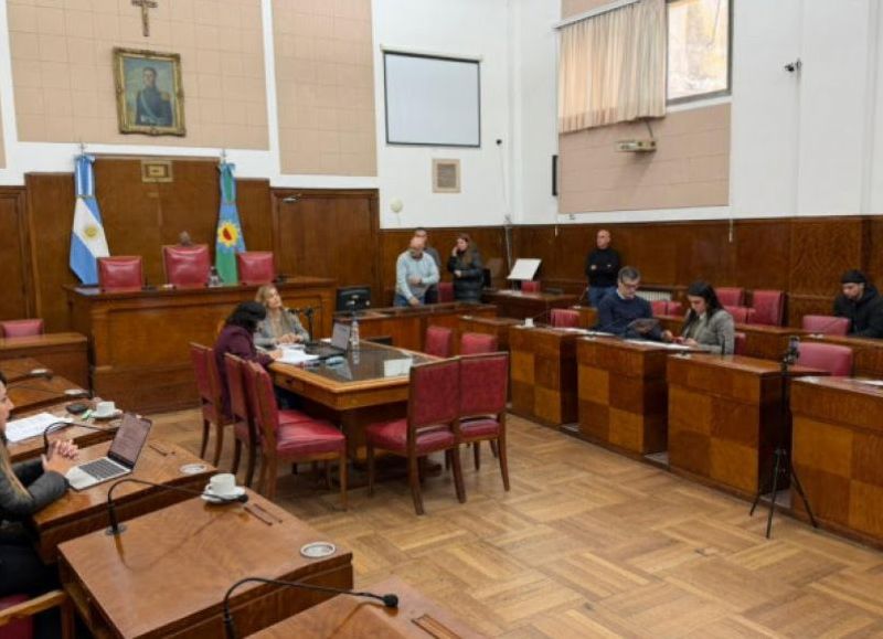 La Comisión de Ambiente analizó proyectos sobre arbolado, residuos y desagües
