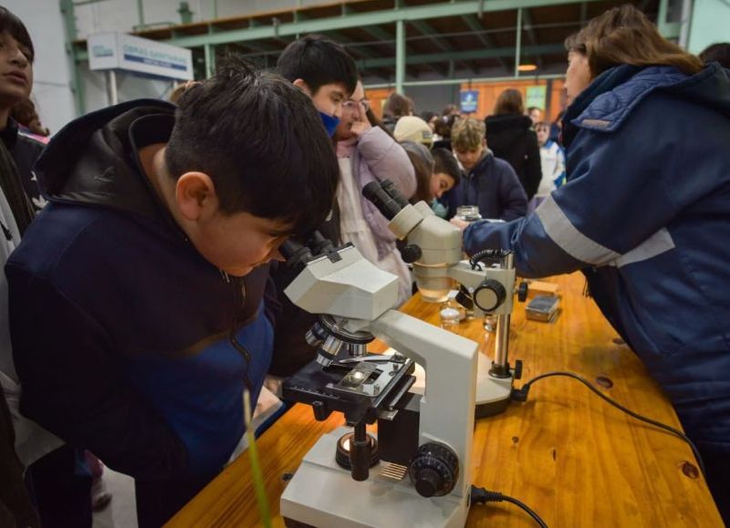 VIDEO | Reunieron a unos 400 estudiantes en una jornada por el Día Mundial del Ambiente