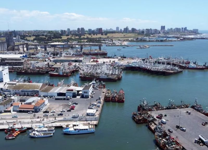 VIDEO | Dos décadas de denuncias ignoradas: la Justicia confirmó contaminación grave en el puerto