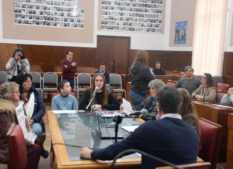 VIDEO | La comisión de Salud abordó la situación de IOMA tras el testimonio de la hija de una afiliada fallecida
