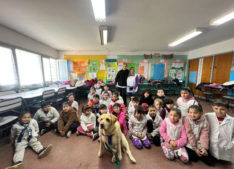 General Pueyrredon abrió la inscripción a un curso virtual para docentes sobre tenencia responsable