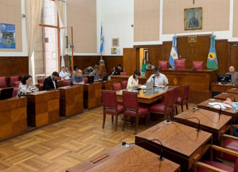 VIDEO | Salud: piden reactivar la Comisión ad honorem de Zoonosis