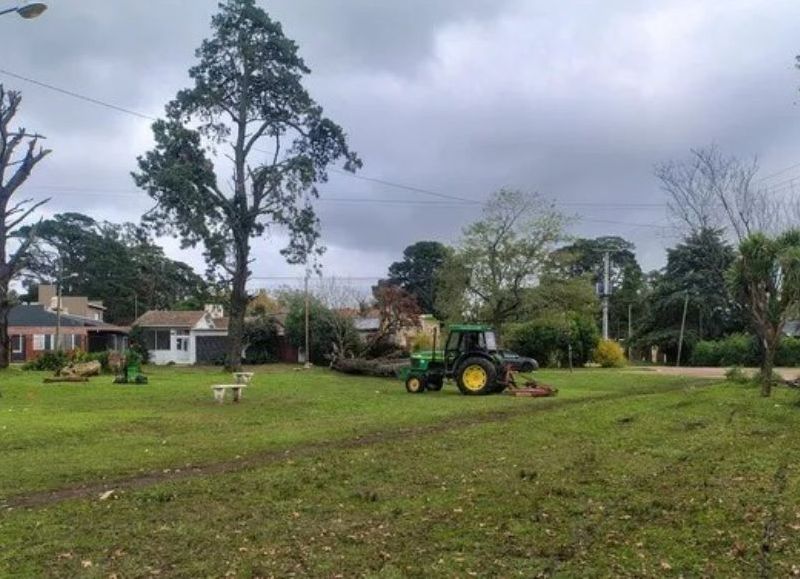 El Municipio reparó más de 100 cuadras en el Puerto y zona Sur