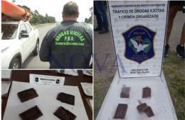 En medio del Operativo Sol hallan chocolates rellenos de marihuana