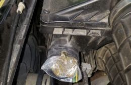 Operativo Sol: un perro detectó que llevaba marihuana en el filtro de aire